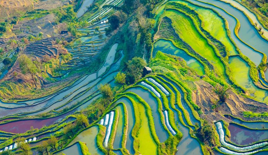 东坡区产品视频拍摄